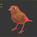 Peregrine Falcon Sparrow Pigeon Wingbird Pearl Bird Hummingbird Flamingbird Bird Animal 3d model