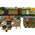 Fresh Vegetables Display With Various Types Arranged On Shelves And Baskets