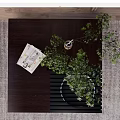 Dark Wood Coffee Table With Green Plant And Magazine On Gray Rug