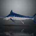 Blue And Silver Swordfish With Long Bill Sleek Body And Reflection On Dark Background