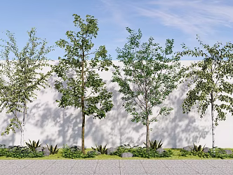 Landscape Plants Arbor Trees Street Trees Green Planting Green Belt Flowers and Plants Pile Grass Pile Stone 3d model