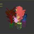 Lush Green Plants With Various Leaf Shapes In Metal And Transparent Pots On Gray Background