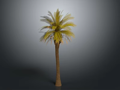 Lush Tropical Palm Tree With Green and Yellow Leaves And Brown Trunk 3d model