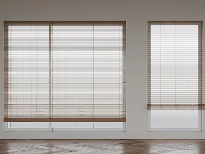 Bamboo curtain 3d model