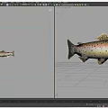 Detailed View Of Rainbow Trout With Colorful Body Black Spots And Yellow Fins