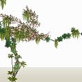 Modern Vine Vine Plant Tree Vine Decoration 3d model