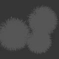 Two Clumps of Green Herbaceous Grass with Black Background and Centimeter Scale
