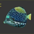 Colorful Tropical Aquatic Fish With Blue Body White Spots Yellow Fins And Blue Eyes