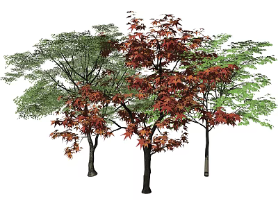 Vibrant Trees With Red And Green Foliage In Natural Arrangement 3d model