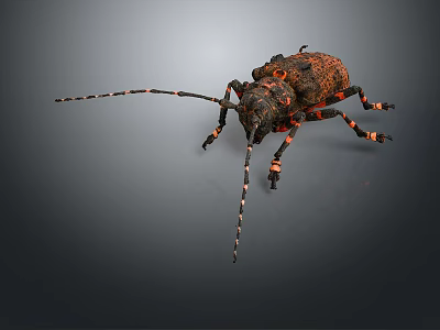 Close Up View Of Beetle With Long Antennae Spotted Exoskeleton Multiple Legs On Gray Background 3d model