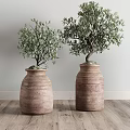 Indoor Bonsai Olive Trees with Green Foliage in Terracotta Planters for Home Decor
