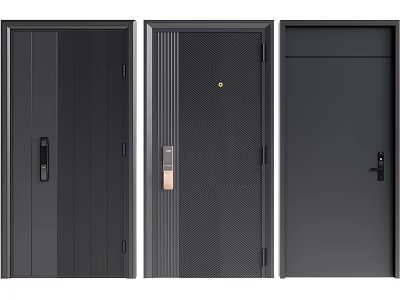 Modern Security Doors With Various Design Styles And Secure Lock Features 3d model