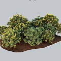 Lush Garden Arbor With Green Leaves Yellow Flowers And Dense Foliage