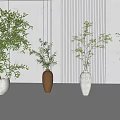 Four Various Style Vases with Green Plants Against White Wall Black Vertical Stripes
