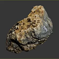 Natural Stone With Wood Like Texture And Golden Brown Crystalline Surface