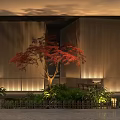 Japanese Style Restaurant Interior With Red Maple Tree Wooden Wall And Courtyard Lighting