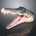 Crocodile Alligator Nile Crocodile carnivore reptile cold-blooded animal reptile reptile 3d model