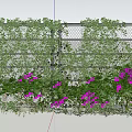 Green Vines Covering Chain Link Fence With Purple Flowers And Lush Foliage
