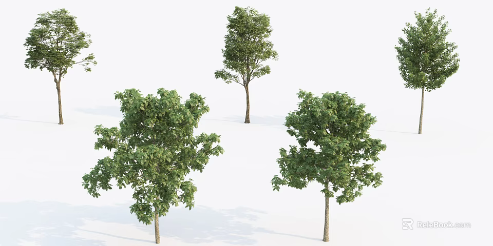 Green Arbors With Different Crown Shapes And Natural Trunk Structures 3d model