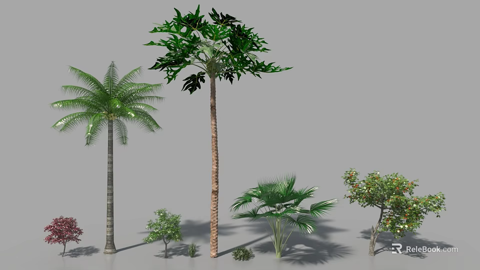 Various Green Shrubs and Palms with Different Foliage in Garden 3d model 