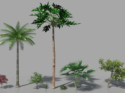 Various Green Shrubs and Palms with Different Foliage in Garden 3d model
