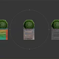 Green Spherical Topiary Plants in Colorful Wooden Boxes for Decorative