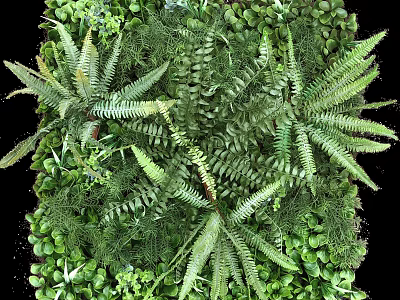 Lush Green Living Plant Wall With Dense Ferns And Natural Foliage Design 3d model