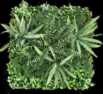 modern plant wall green plant wall 3d model