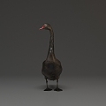 Modern Swan Black Swan 3d model