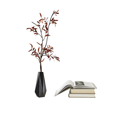 Decorative Ornament Set with Black Vase Red Leaves Branches and Open Stacked Books 3d model