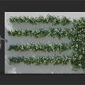 Green Climbing Vines Wall Decor Design With Lush Foliage And Vertical Greenery Pattern