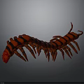 Detailed Red And Black Striped 3D Centipede Model On Grey Gradient Background