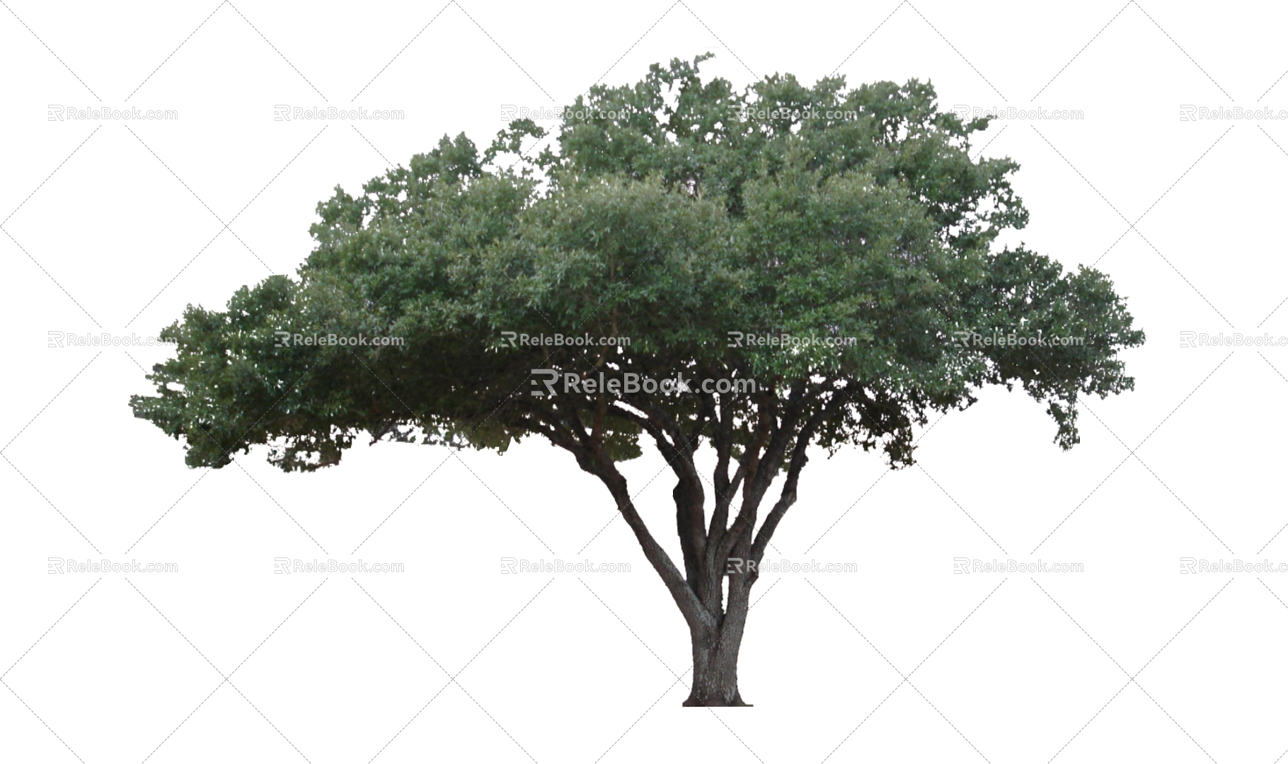 Tree 3d model