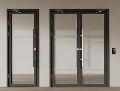 Modern Interior Double Doors With Glass Panels And Black Frames Wooden Floor 3d model