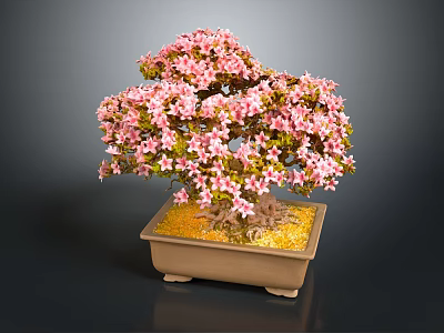 Bonsai Plant With Pink Flowers In Brown Square Pot And Golden Pebbles Against Dark Background 3d model