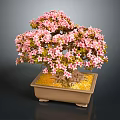 Bonsai Plant With Pink Flowers In Brown Square Pot And Golden Pebbles Against Dark Background