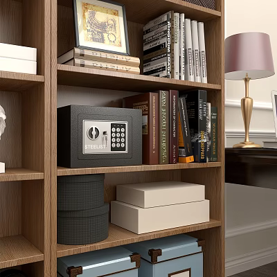 Cozy Study Room Interior Design With Wooden Bookshelf Safe And Gold Table Lamp 3d model