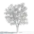 The Modern Tree 3d model