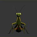 Green Praying Mantis With Yellow Legs And Green Wings On Dark Background