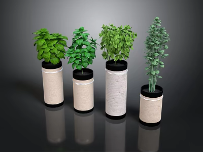 Indoor Potted Green Plants With Cylindrical Fabric Planters And Leafy Foliage 3d model