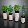 Indoor Potted Green Plants With Cylindrical Fabric Planters And Leafy Foliage