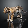 Young Tiger Cub With Striped Fur Standing On Black Reflective Surface