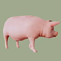 Pink Reptile With Spotted Skin On Green Background In Studio View