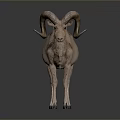Brown Ram With Large Curved Horns Standing On Gray Background 3d model