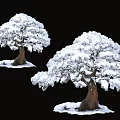 Snow Covered Tree Pit With Lush Snowy Trees And Brown Trunks 3d model