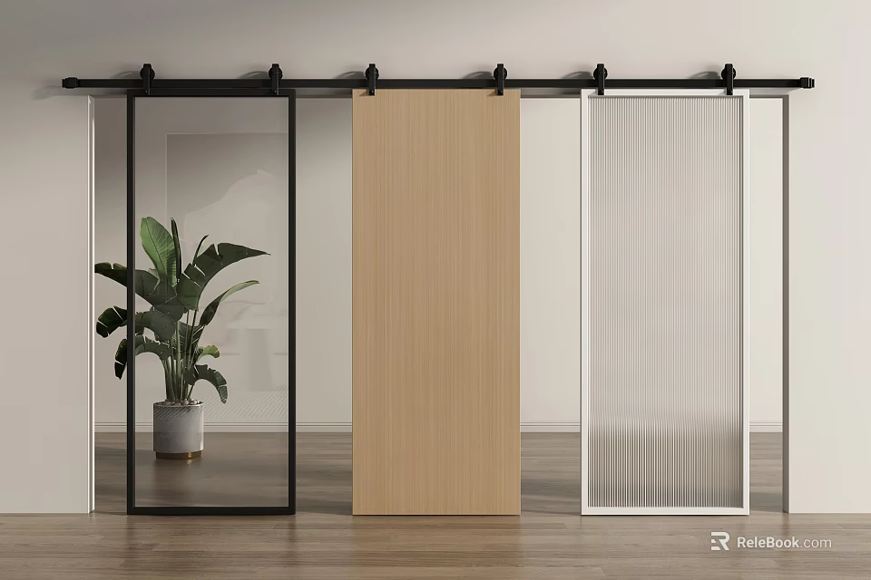 Modern Interior Design With Various Barn Doors And Wooden Floor Potted Plant 3d model 