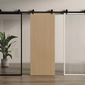 Modern Interior Design With Various Barn Doors And Wooden Floor Potted Plant