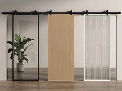 Modern Interior Design With Various Barn Doors And Wooden Floor Potted Plant 3d model