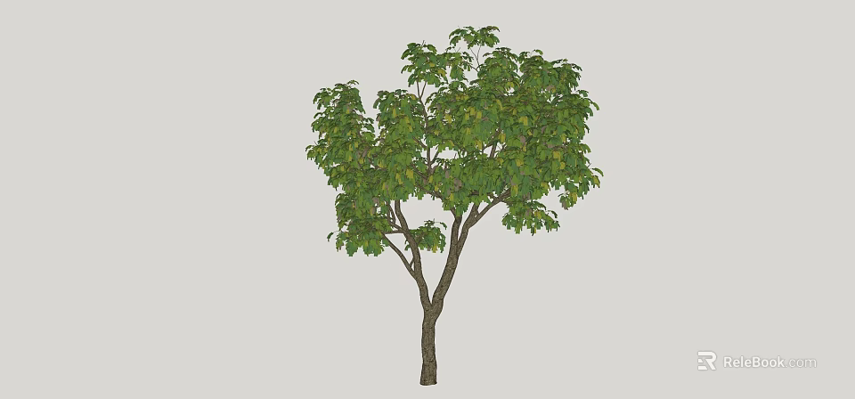 Deciduous Tree With Lush Green Foliage And Sturdy Brown Trunk In Natural Form 3d model 