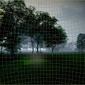 Modern Forest Sky Box Forest Background Game Environment 3d model